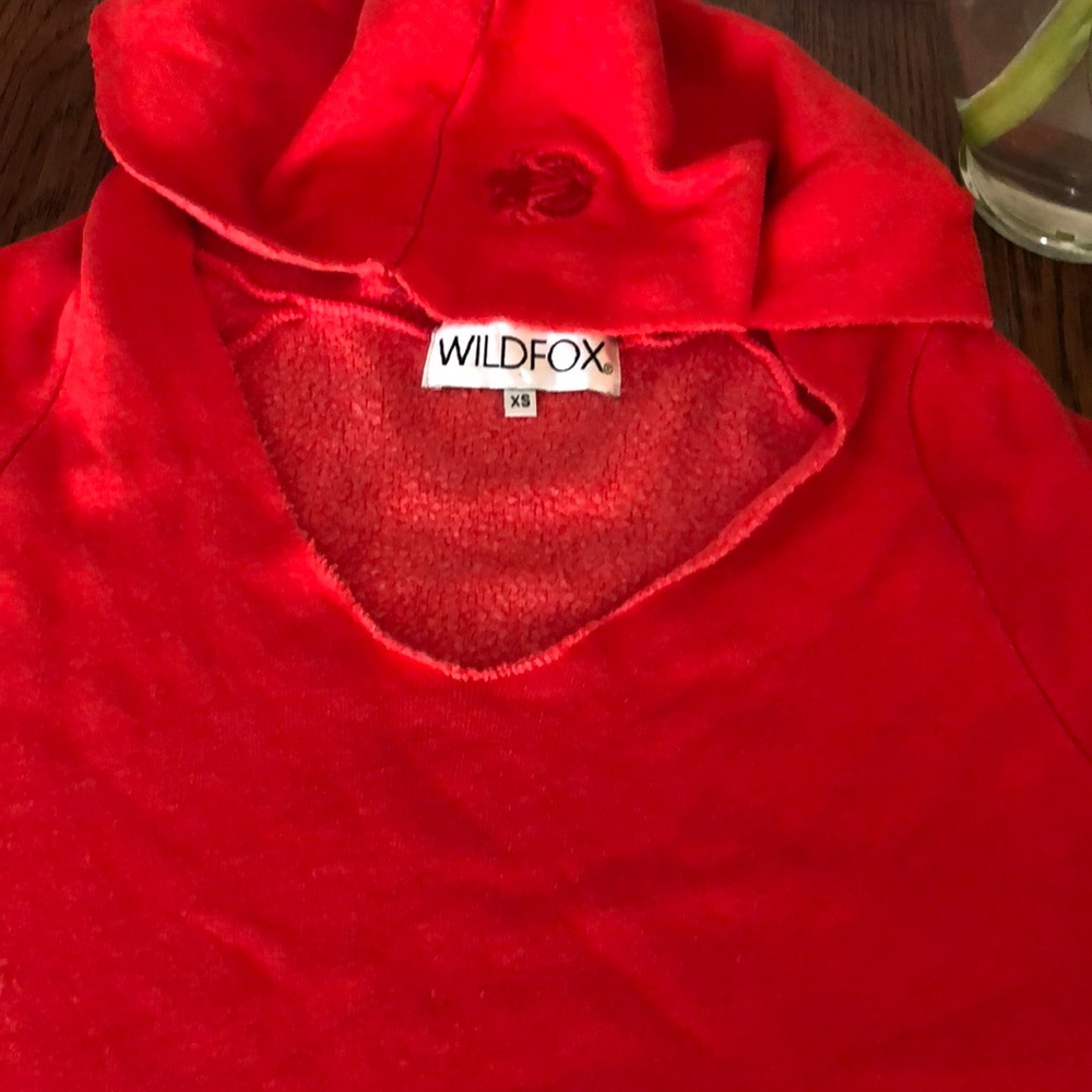 Wild 🦊 hoodie extra small runs extra large
